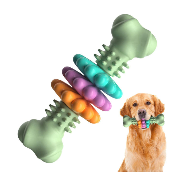 5 Signs It's Time to Retire Your Dog's Favorite Toy