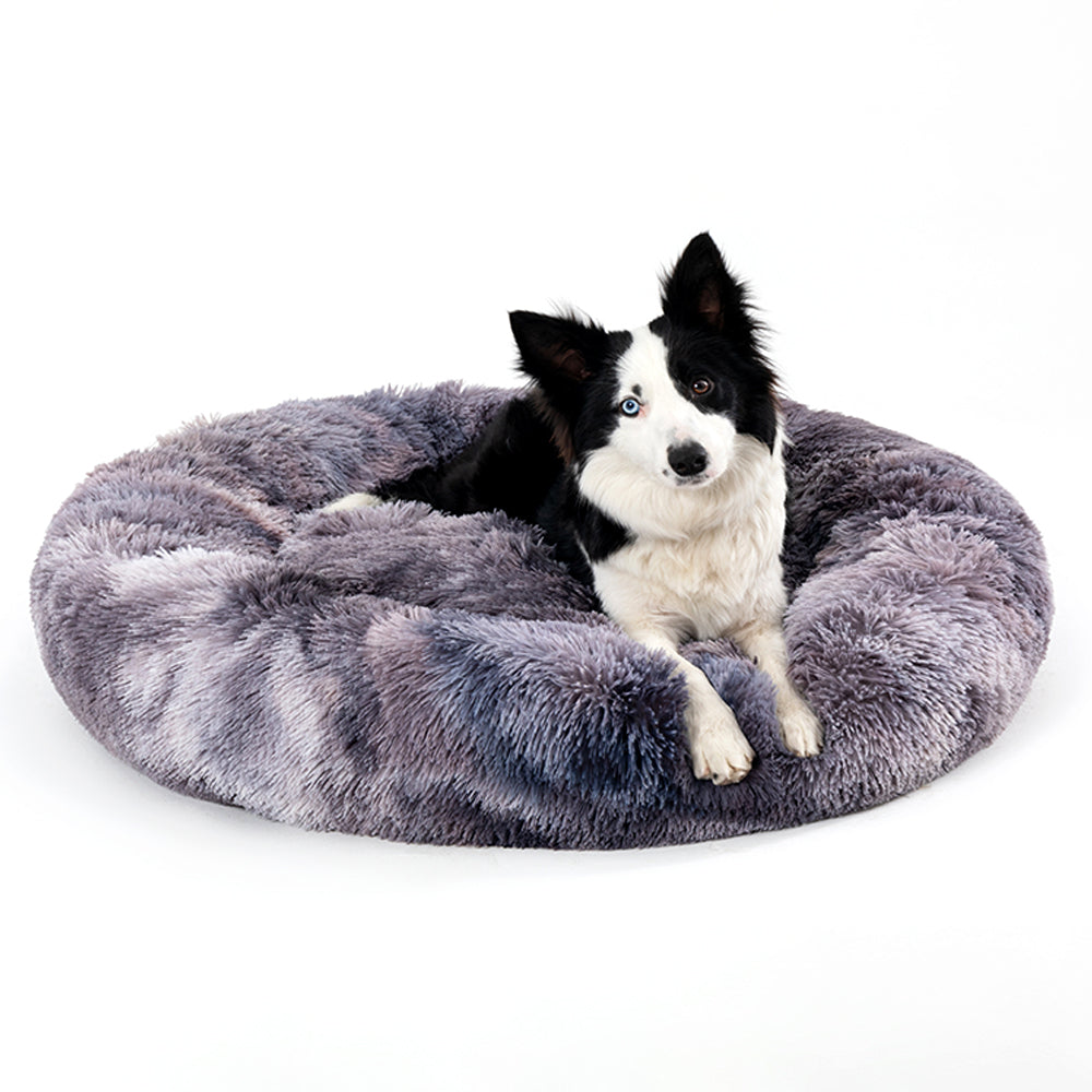 Is a heated bed necessary for guinea pigs in winter?