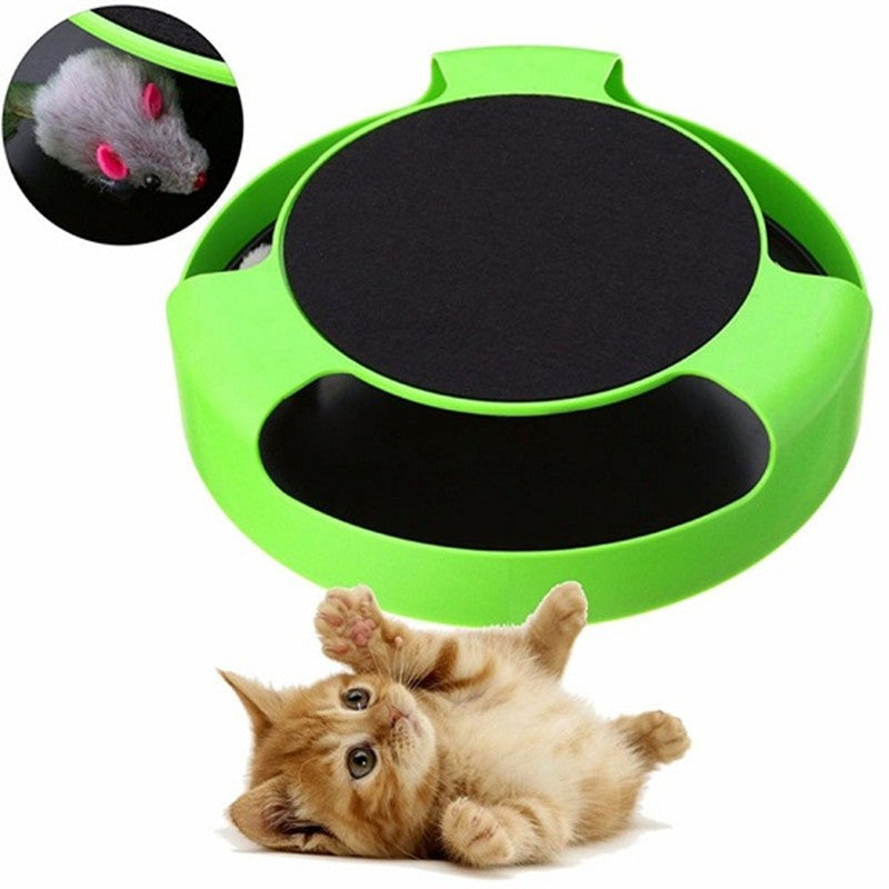Indoor Enrichment Ideas for Cats Who Refuse to Nap