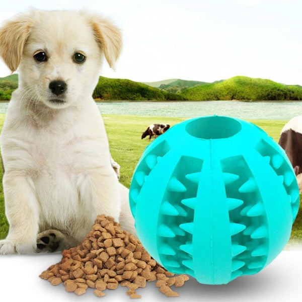 Rubber dog toy